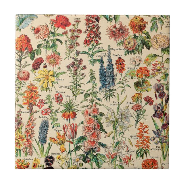 Vintage Flowers Tile (Front)