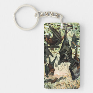Vintage flying fox bat acadamia illustration  keychain