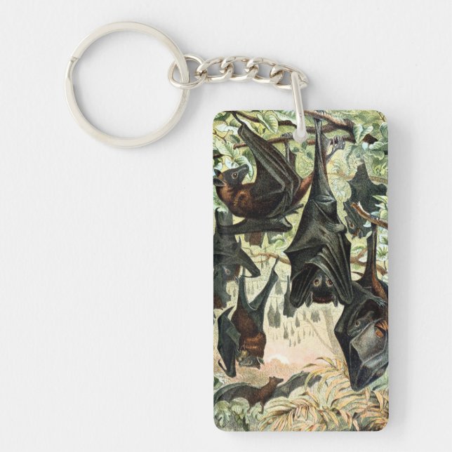 Vintage flying fox bat acadamia illustration  keychain (Front)