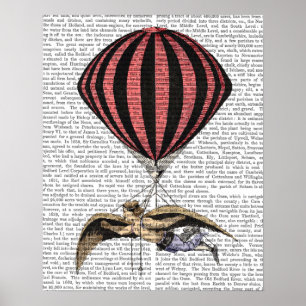 Vintage Flying Machine Poster