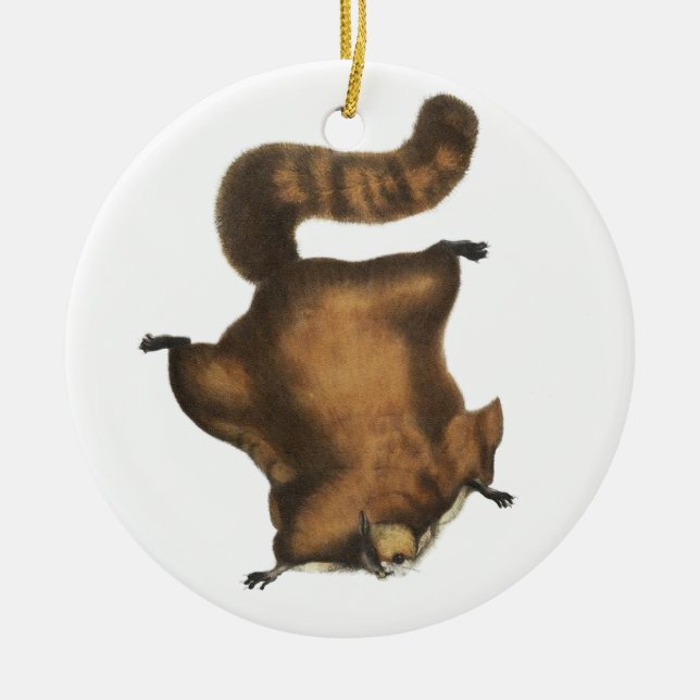 Vintage Flying Squirrel Ceramic Ornament (Front)