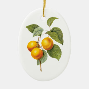Vintage Food Fruit, Apricot Peach by Redoute Ceramic Ornament