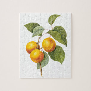 Vintage Food Fruit, Apricot Peach by Redoute Jigsaw Puzzle