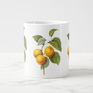 Vintage Food Fruit, Apricot Peach by Redoute Large Coffee Mug