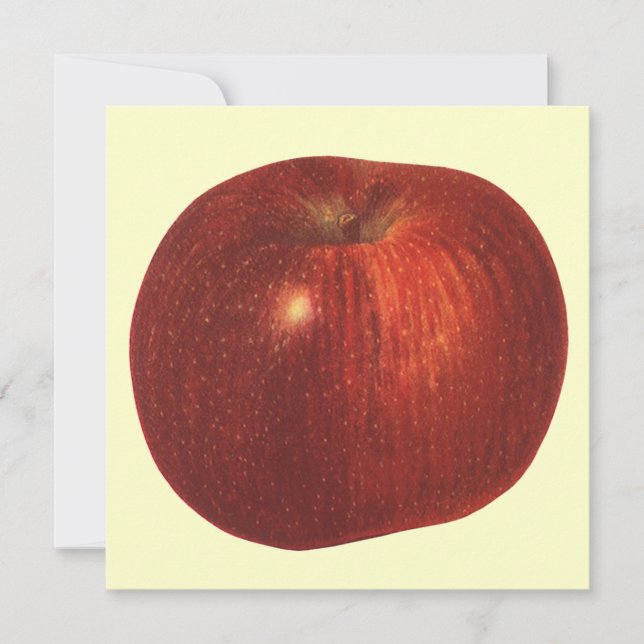 Vintage Food Fruit, Organic Red Delicious Apple (Front)