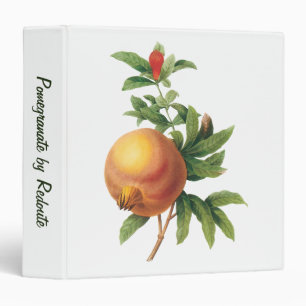 Vintage Food Fruit, Pomegranate by Redoute Binder