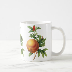 Vintage Food Fruit, Pomegranate by Redoute Coffee Mug