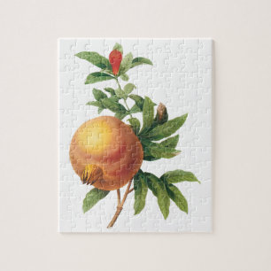 Vintage Food Fruit, Pomegranate by Redoute Jigsaw Puzzle
