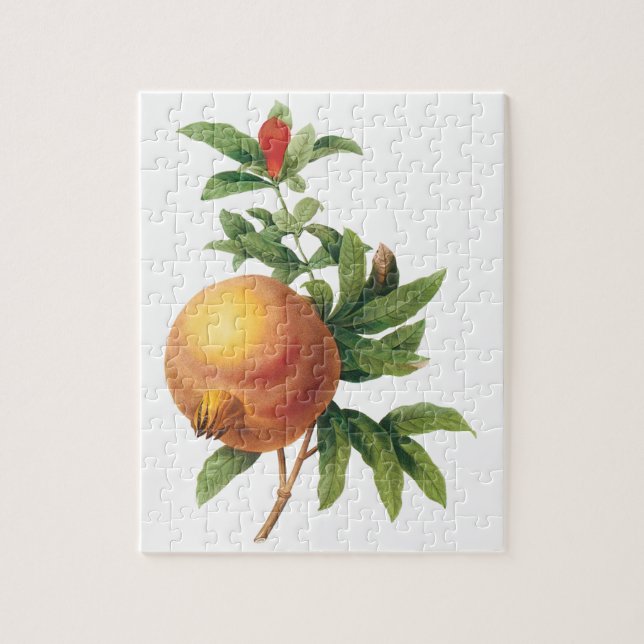 Vintage Food Fruit, Pomegranate by Redoute Jigsaw Puzzle (Vertical)