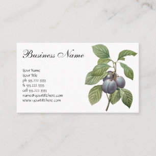 Vintage Food Fruit, Purple Garden Plums by Redoute Business Card