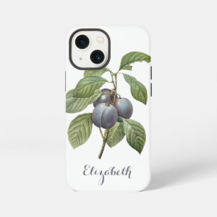 Vintage Food Fruit, Purple Garden Plums by Redoute iPhone 13 Mini Case