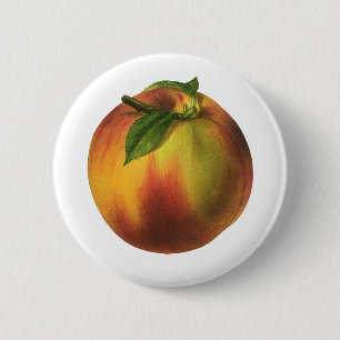 Vintage Food Fruit, Ripe Organic Peach with Leaf 2 Inch Round Button