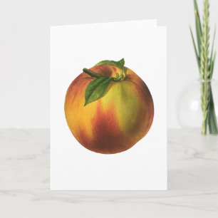 Vintage Food Fruit, Ripe Organic Peach with Leaf Card