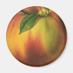 Vintage Food Fruit, Ripe Organic Peach with Leaf Magnet
