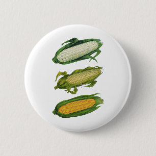 Vintage Food Healthy Vegetables, Fresh Corn on Cob 2 Inch Round Button