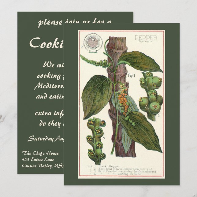 Vintage Food Herbs Spices, Black Pepper Plant Invitation (Front/Back)