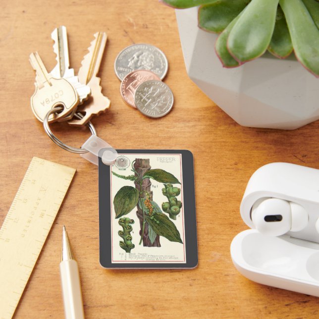 Vintage Food Herbs Spices, Black Pepper Plant Keychain (Desk)