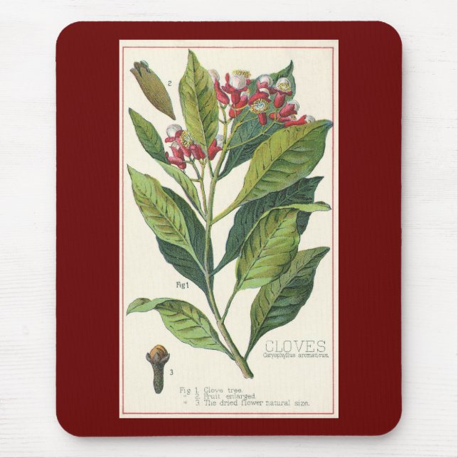 Vintage Food Herbs Spices, Cloves Plant Mouse Pad (Front)