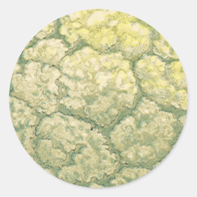 Vintage Food Vegetables Veggies Cauliflower Classic Round Sticker (Front)