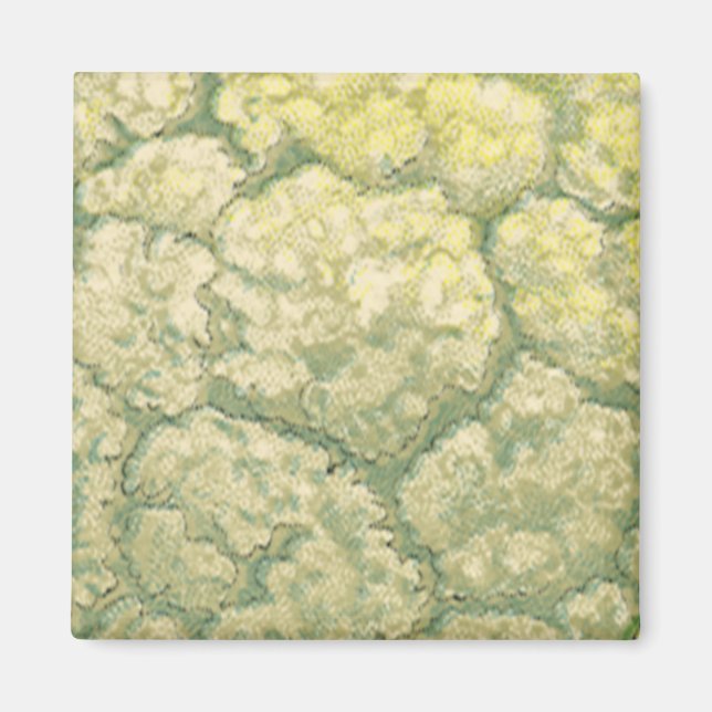 Vintage Food Vegetables Veggies Cauliflower Magnet (Front)