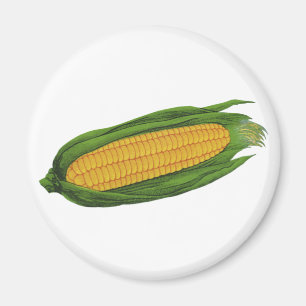 Vintage Food Vegetables; Yellow Corn on the Cob Magnet