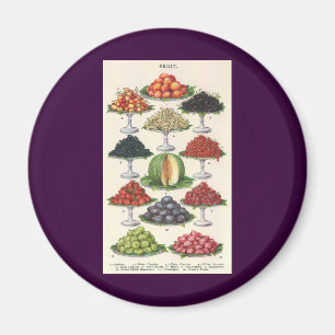 Vintage Foods Assorted Fruit on Trays for Catering Magnet