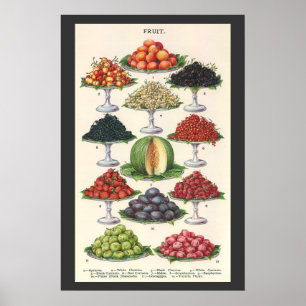 Vintage Foods Assorted Fruit on Trays for Catering Poster