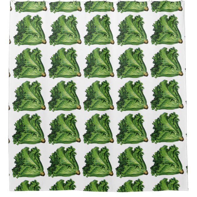 Vintage Foods, Green Leaf Lettuce Vegetables (Front)