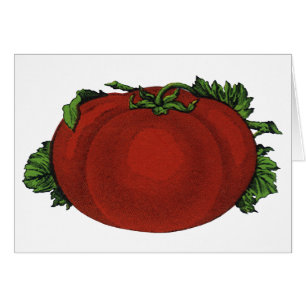 Vintage Foods, Ripe Tomato, Vegetables and Fruits