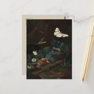Vintage Forest Floor Still Life Postcard