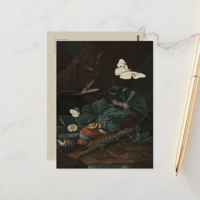 Vintage Forest Floor Still Life Postcard (Front/Back In Situ)