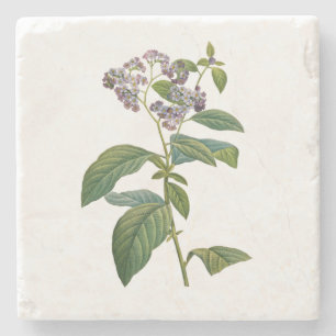 Vintage Forget-Me-Not Friendship Love Botanical Stone Coaster