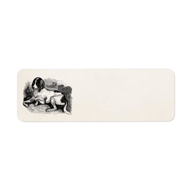 Vintage Fox Hound Hunting Dog 1800s Hounds Dogs (Front)