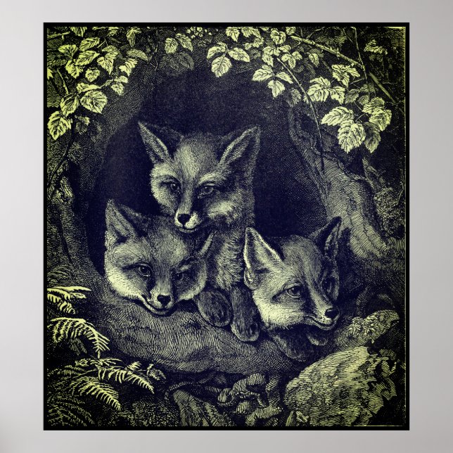 Vintage fox poster (Front)