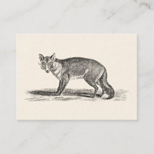 Vintage Foxy Fox Illustration - 1800's Foxes Business Card