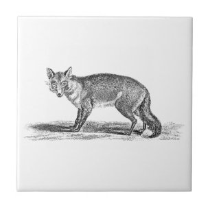 Vintage Foxy Fox Illustration - 1800's Foxes Tile
