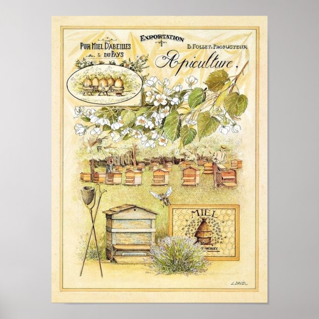 Vintage France Apiculture Beekeeping Bee Yard Poster (Front)