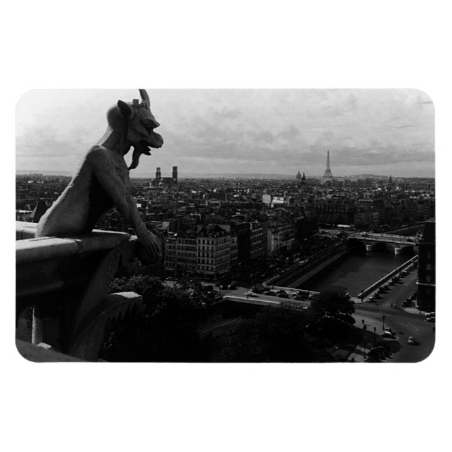 Vintage France Paris Notre Dame Cathedral devil Magnet (Horizontal)