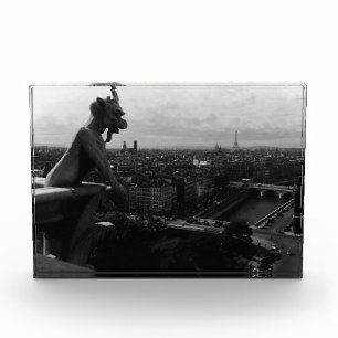 Vintage France Paris Notre Dame Cathedral devil Photo Block