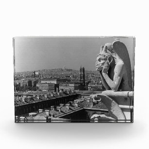 Vintage France Paris Notre Dame Cathedral thinker Photo Block