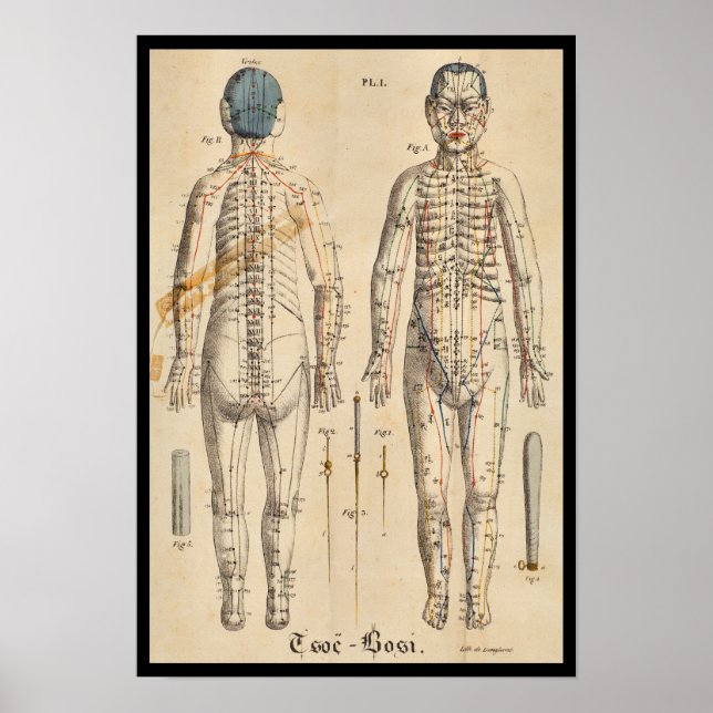 Vintage French 1825 Acupuncture Meridian Points Poster (Front)