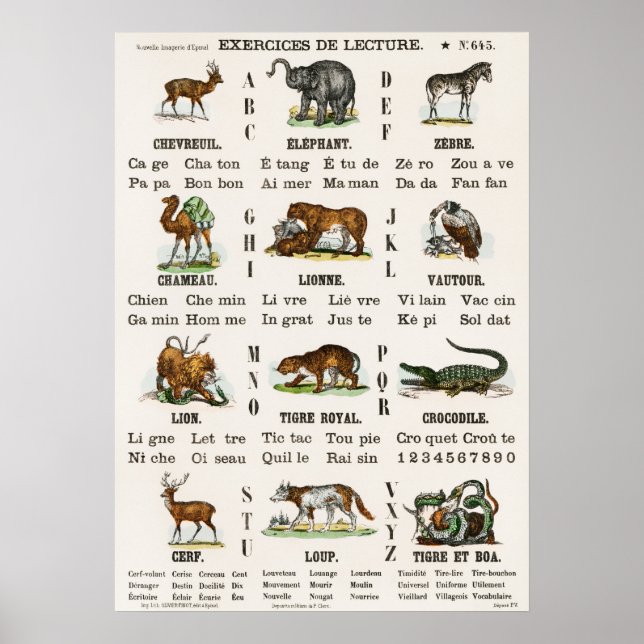 Vintage French Alphabet And Numbers Poster (Front)
