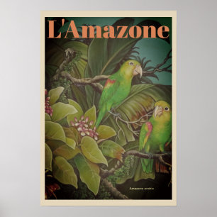 Vintage French amazon parrot poster