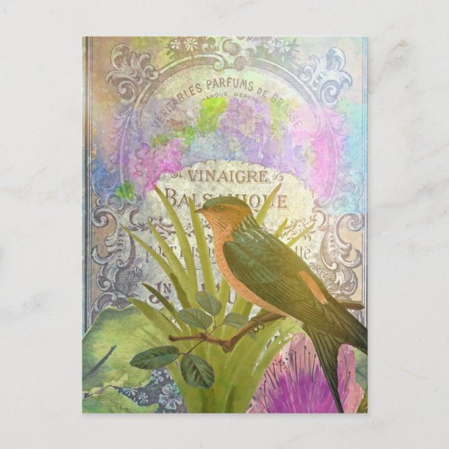Vintage French Bird Collage Perfume Label Postcard (Front)