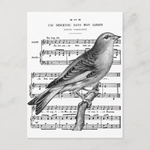 Vintage French Bird Song Music Postcard