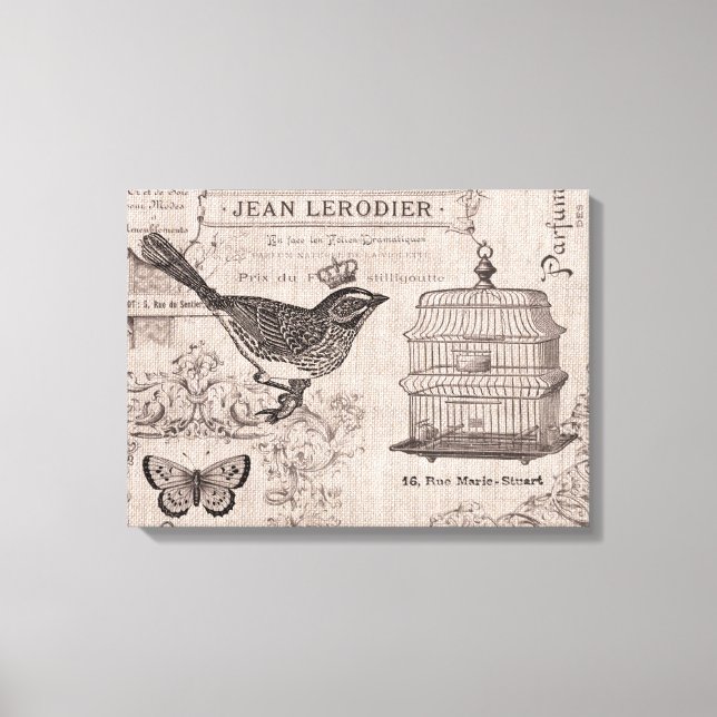 Vintage French Bird stretched canvas (Front)