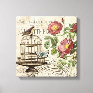 Vintage French birdcage stretched canvas Print