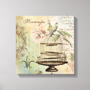 Vintage French birdcage stretched canvas Print