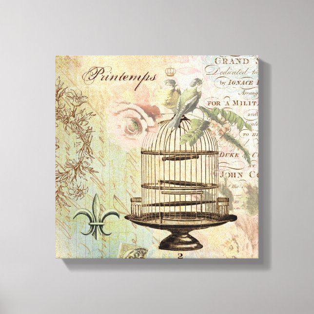 Vintage French birdcage stretched canvas Print (Front)