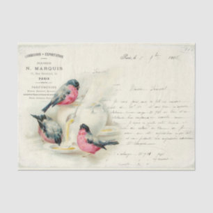 Vintage French Birds and Love Letters Tissue Paper